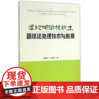[正版书籍]湿地湖泊相软土固结法处理技术与应用