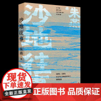 沙地往事 朱燕著中国工人出版社现代当代长篇小说 平原沙地年代小说故事 书