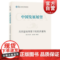 中国发展展望--共同富裕背景下的经济重构