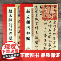 赵孟頫前后赤壁赋+洛神赋 全2册 墨点字帖历代经典碑帖高清放大对照本 毛笔书法字帖行书练字帖成年初学者练字