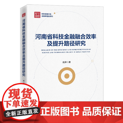 河南省科技金融融合效率及提升路径研究