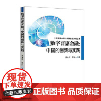 数字普惠金融:中国的创新与实践