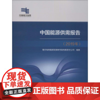 中国能源供需报告(2019年) 南方电网能源发展研究院有限责任公司 著 能源与动力工程专业科技 正版图书籍 中国电力出版