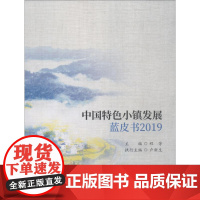 中国特色小镇发展蓝皮书 2019 程芳 著 程芳 编 中国经济/中国经济史经管、励志 正版图书籍 中国财政经济出版社