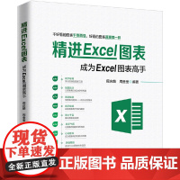 精进Excel图表:成为Excel图表高手周庆麟,周奎奎9787301307083北京大学出版社