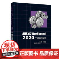 ANSYS Workbench 2020工程实例解析