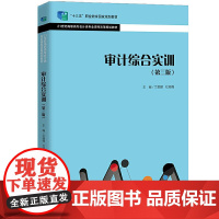 审计综合实训(第三版)兰丽丽杜海霞9787300293189中国人民大学出版社