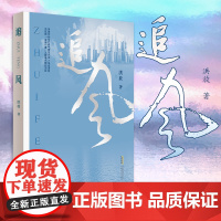 追风 洪放著中宣部全面小康主题重点跟踪项目 安徽文艺出版社