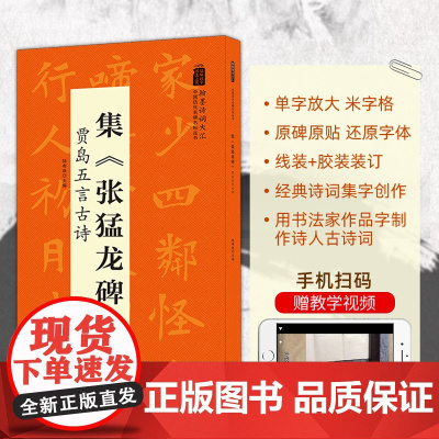 集张猛龙碑 贾岛五言古诗 翰墨诗词大汇 中国历代名碑名帖丛书 陆有珠著楷书毛笔字帖临摹书籍碑帖米字格安徽美术出版社