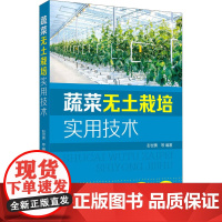 蔬菜无土栽培实用技术 彭世勇 等 编 园艺专业科技 正版图书籍 化学工业出版社