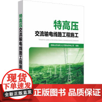 特高压交流输电线路工程施工 国网山东省电力公司泰安供电公司 著 国网山东省电力公司泰安供电公司 编 建筑/水利(新)专业