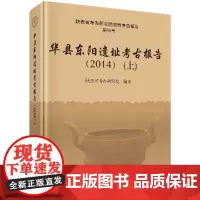 华县东阳遗址考古报告(2014)(上、下册)