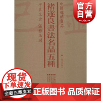 中国碑帖名品·褚遂良书法名品五种(套装)上海书画出版社编学习褚楷临摹范本书法字帖释义伊阙佛龛碑孟法师碑雁塔圣教序上海书画