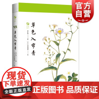 草色入帘青/草木闲趣书系 徐红燕博物学全彩印刷花卉普及读物毛利梅园梅园草木花谱 上海科技教育出版社