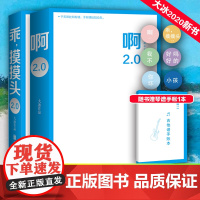 啊2.0/大冰+乖摸摸头2.0 大冰 著 短篇小说集/故事集文学 正版图书籍 京华出版社 等