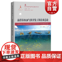 海洋深水油气田开发工程技术总论(海洋深水油气田开发工程技术丛书)