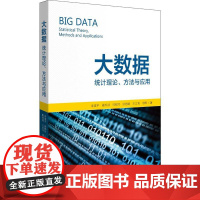 大数据:统计理论.方法与应用 朱建平,富,谢邦昌,马双鸽,张德富,方匡南,潘璠 著 统计学专业科技 正版图书籍