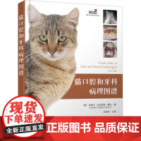 猫口腔和牙科病理图谱 9787122381576 猫牙科病理图谱治疗手册 猫牙科疾病 猫齿系图谱小动物牙周探查图例