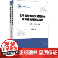 合乎区域协同发展愿景的整体性治理图式探析——赵新峰学术论文集 赵新峰 著 国民经济管理经管、励志 正版图书籍