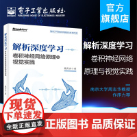 正版 解析深度学习 卷积神经网络原理与视觉实践 魏秀参 深度学习入门教程书籍 卷积神经网络部件结构和模型压缩