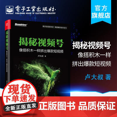 正版 揭秘视频号:像搭积木一样拼出短视频 视频剪辑调色拼接 镜头语言指导宝典 新手入门教程