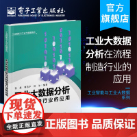 正版 工业大数据分析在流程制造行业的应用 张晨 数字化智能化建设加快炼厂电网炼钢等建设信息化自动化 机械/仪器仪表书