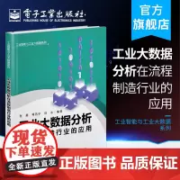 正版 工业大数据分析在流程制造行业的应用 张晨 数字化智能化建设加快炼厂电网炼钢等建设信息化自动化 机械/仪器仪表书