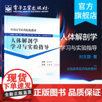 正版 人体解剖学学习与实验指导 刘文国 运动 人体解剖 护理 临床医学 实验检验技术 药学康复技术 口腔医学教材书籍