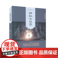 正版 神秘古丝帛长篇悬疑情感小说 剑钧 安徽文艺出版社 书籍