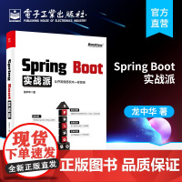 Spring Boot实战派 Spring Boot技术原理框架学习开发入门教程 Spring Boot 2.0企业级应