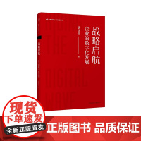 战略启航:企业的数字化发展 蔡舒恒 著 中欧前沿观点丛书 东方出版中心