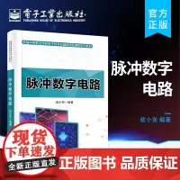 正版 脉冲数字电路 欧小东 著 电子工业出版社