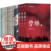 易中天作品集套装13册 易中天品三国 易中天讲曹操 禅的故事 读唐诗 诗经绘 艺术人类学 易中天品读中国系列