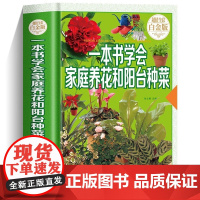 家庭养花阳台种菜 家庭菜园 种菜书籍 小菜园阳台种菜书 蔬菜种植书 绿色蔬菜瓜果种植技术大全 家庭阳台盆景蔬菜栽培 家庭