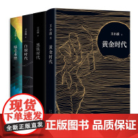 王小波经典套装 4册 黄金时代 白银时代 黑铁时代 绿毛水怪 精装版 当代文学经典