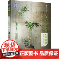 [正版书籍]绿植之美:80种文艺感观叶植物挑选 装饰 养护