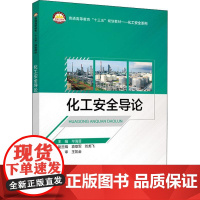 化工安全导论 毕海普 编 工业技术其它专业科技 正版图书籍 中国石化出版社