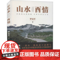 山水酉情 罗克军 著 文学作品集文学 正版图书籍 百花洲文艺出版社