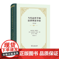 当代法哲学和法律理论导论(第九版) [德]温弗里德·哈斯默尔 等著 郑永流 译 商务印书馆