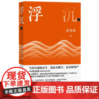 浮沉第二部崔曼莉女性成长长篇小说代表作百万书新闻出版总署五十本好书之一改编同名电视剧第29届飞天奖人民文学出版社