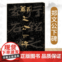 [大8开]郑文公下碑 中国石刻书法精粹辑 山东北朝佛教石经崖石刻书法榜书作品隶书楷书篆刻艺术书法入门碑帖临摹教程大字版