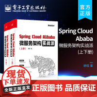 店 Spring Cloud Alibaba 微服务架构实战派 上下册 对微服务架构感兴趣的开发人员参考书籍 电子工业出