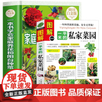 家庭养花阳台种菜 图解一平米的私家菜园 2册 家庭菜园蔬菜种植技术室内外西红柿黄瓜茄子青菜辣椒草莓 种菜栽培实用手册书