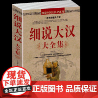 一本书读懂大汉史 细说大汉大全集 血腥的盛唐中国历史不忍细看的大汉史 汉朝历史人物事件 汉朝那些事儿 汉武帝汉高祖史记通