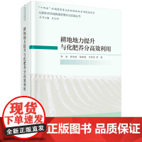 耕地地力提升与化肥养分高效利用/化肥和农药减施增效理论与实践丛书