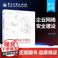 正版 企业网络安全建设 企业网络安全建设要点 网络安全防护技术措施 企业网络安全建设解决方案安全网络建设过程指导 黄铮