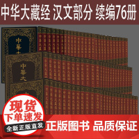 中华大藏经续编汉文部分76册全套 汉传注疏部一二三四五六 印度典籍部 南传典籍部 藏传典籍部 哲学宗教著作书籍