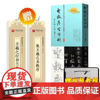 全3册 圣教序字字析 近距离临摹字卡 集王羲之圣教序 行书兰亭序 碑帖笔法临析毛笔书法临摹教程临摹字帖 黄文新 天津人美