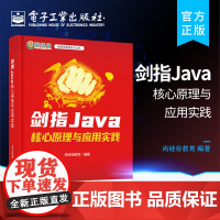 正版 剑指Java——核心原理与应用实践 Java面向对象编程语言的语法核心编程思想基础API等java核心技术技术 j