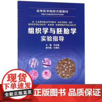 组织学与胚胎学实验指导 吕正梅 著 著 大学教材生活 正版图书籍 中国科学技术大学出版社